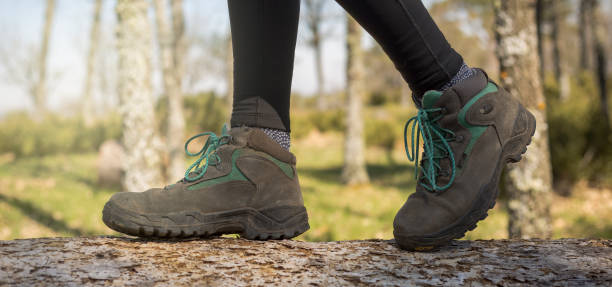 istock person walking through the forest in nature 1313228285
