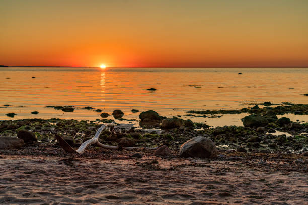 istock Sunset over the Baltic Sea 1313229284