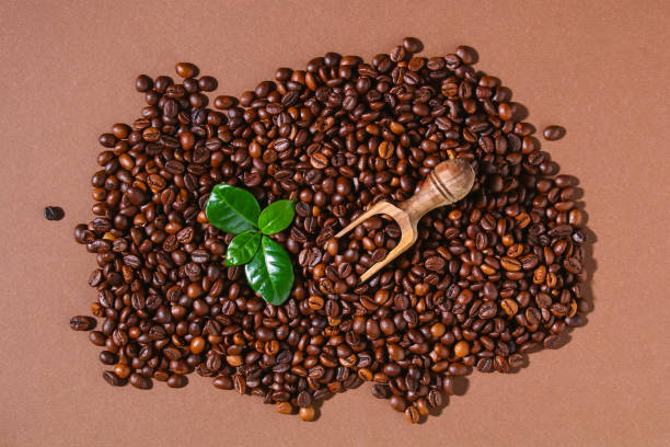 istock Roasted brown coffee beans on a brown background. 1313229499