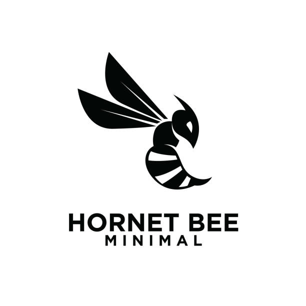 illustrations, cliparts, dessins animés et icônes de conception minimale de prime de vecteur d’abeille de frelon - stinging