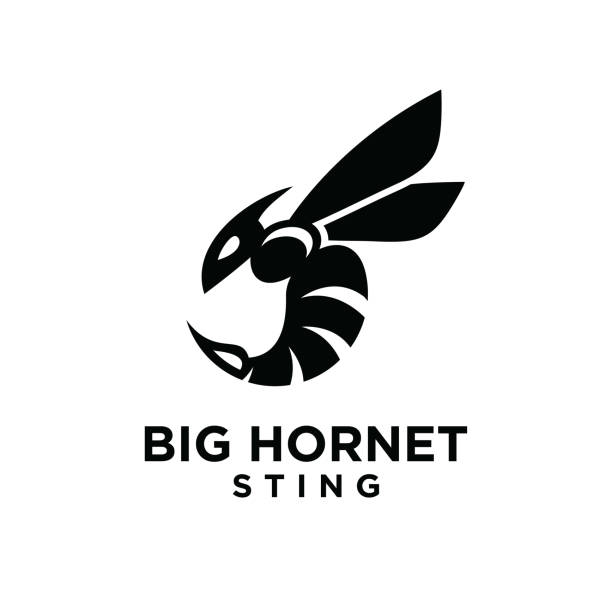 minimal hornet bee vector premium design minimal hornet bee vector premium modern design animal antenna stock illustrations