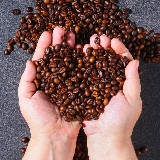 istock Roasted brown coffee beans on a gray background. 1313230194