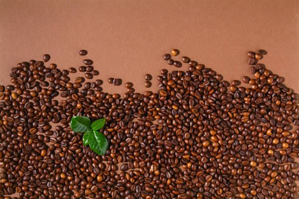 istock Roasted brown coffee beans on a brown background. 1313230294