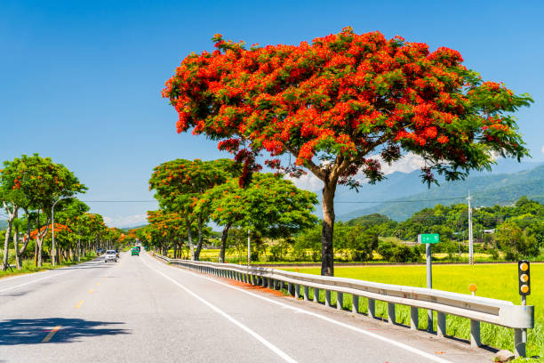 istock road scenery in Hualien, Taiwan. 1313230409