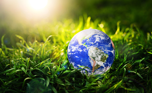 Earth planet in grass on sunny background. Save and protection Earth.Concept of the Environment World Earth Day.\nElements of this image are furnished by NASA.\nhttps://www.nasa.gov/content/satellite-view-of-the-americas-on-earth-day