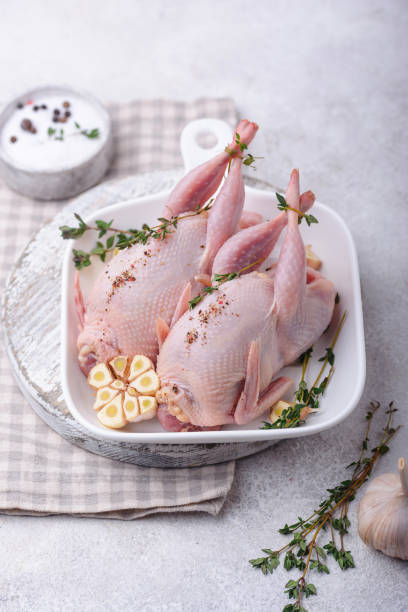 istock Raw quail meat with spices, garlic and herbs 1313233476