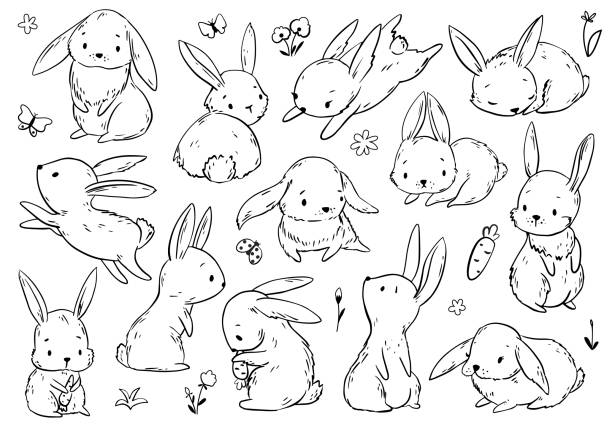 Bunny collection. Bunny collection. Black and white line style. Perfect for coloring page. Hand drawn vector illustration easter drawings stock illustrations