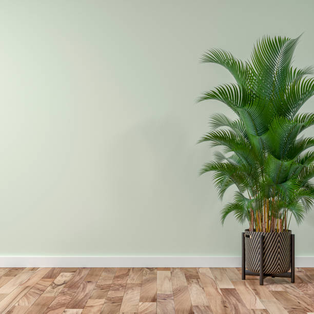istock Empty plaster wall background with potted plant 1313234386