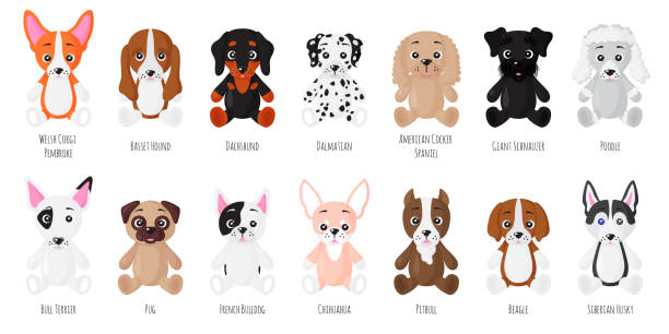 Vector cartoon set of sitting dogs of different breeds. Vector cartoon set of sitting dogs of different breeds. American cocker spaniel, Giant schnauzer, Poodle, Bull terrier, Pug, French Bulldog, Chihuahua, Pitbull, Beagle, Siberian Husky. cocker spaniel poodle mix stock illustrations