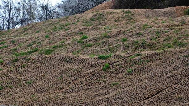 cobertura temporária do gramado semeando com têxteis para garantir uma grande inclinação - controla da erosão - fotografias e filmes do acervo