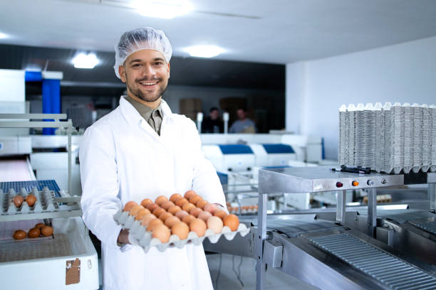 istock Portrait of technologist holding cardboard crate with fresh eggs. In background machine transporting eggs for packaging. 1313235965