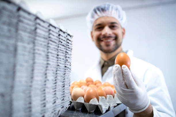 istock Food factory worker standing by industrial eggs packaging machine and holding an egg. 1313236781