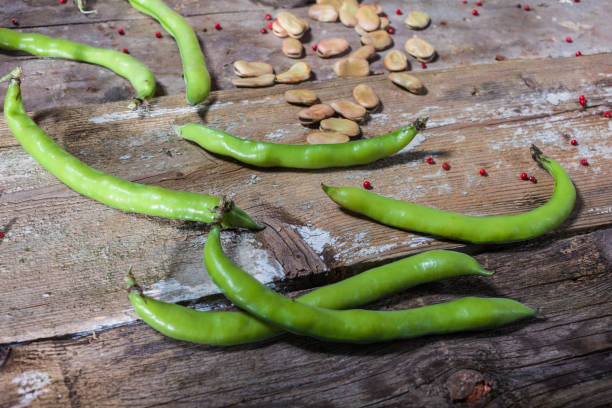 istock Close up of fresh and dried broad beans 1313237210