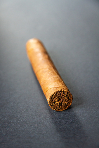 Brown cuban cigar isolated on grey background