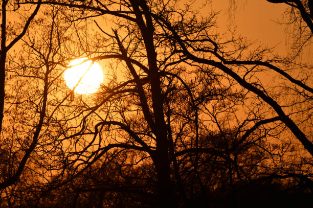 istock Spectacular view of sunset. 1313238652