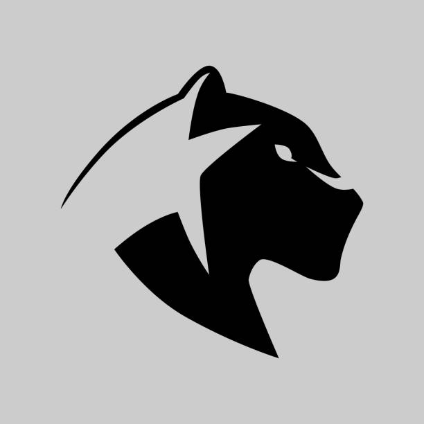 Ilustración de Símbolo De Pantera Negra En Un Fondo Gris y más Vectores  Libres de Derechos de Leopardo - Leopardo, Puma - Felino salvaje, Logotipo  - iStock