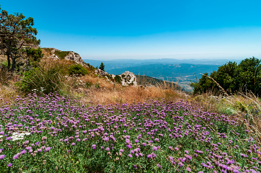 Summer landscape in Pyrenees, Spain. Ager, Serra del Montsec