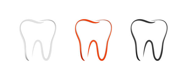 Teeth Set - Outline Vector Illustration - Isolated On White Background Teeth Set - Outline Vector Illustration - Isolated On White Background dentist logos stock illustrations