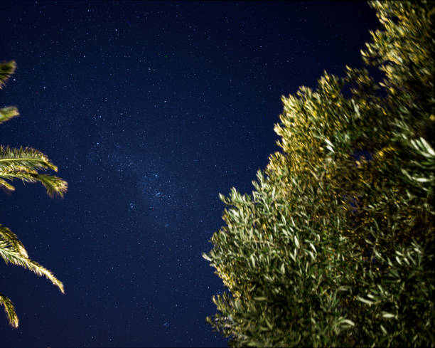 istock Camps Bay Astrophotography - 20210405 1313245291