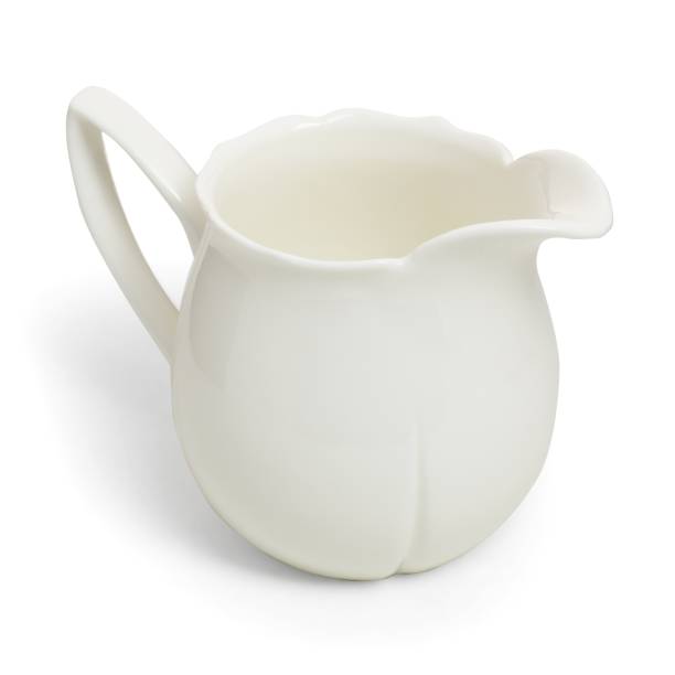 istock Porcelain sauce boat, pitcher, creamer or ceramic gravy boat isolated on withe 1313245491