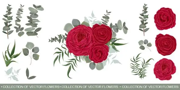 Vector illustration of Vector set with red roses and various plants