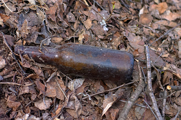 an old beer bottle in last year's foliage