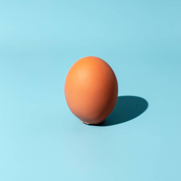 istock Egg over blue background. Sunshine with hard shadow. Minimal food concept 1313248465