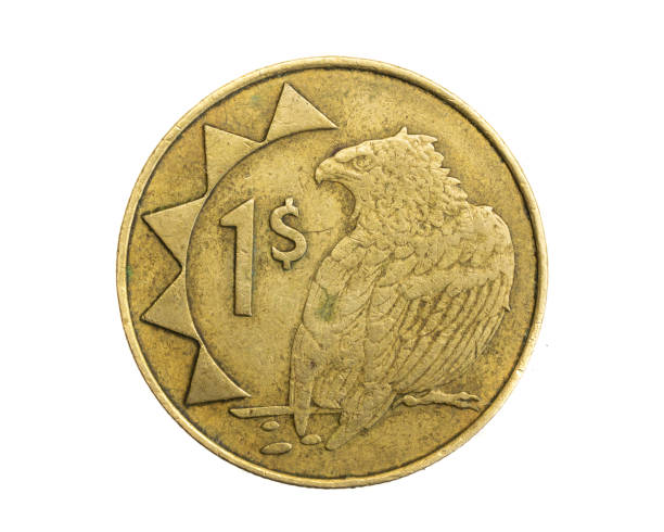 istock Namibia one dollar coin on white isolated background 1313251967