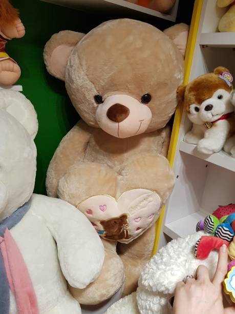 istock plush toys collection all gathered together 1313252253