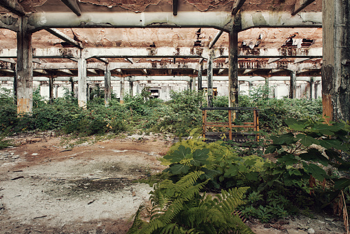 Abandoned factory invaded by nature