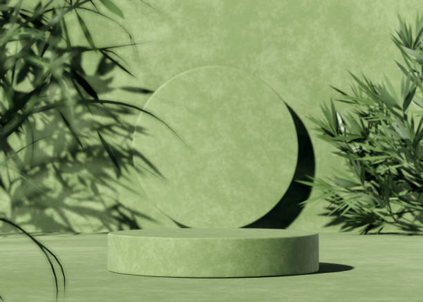 istock Minimal abstract background with 3D concrete podium display with green leaves 1313253771