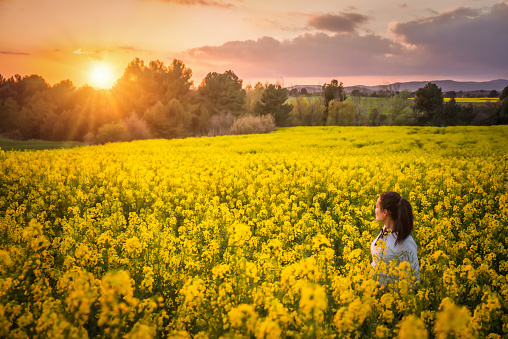 Beautiful caucasian brunette young woman enjoying the sunset in the middle of a field of yellow rapeseed flowers in spring. Soft sensual beauty. Catalonia,Spain