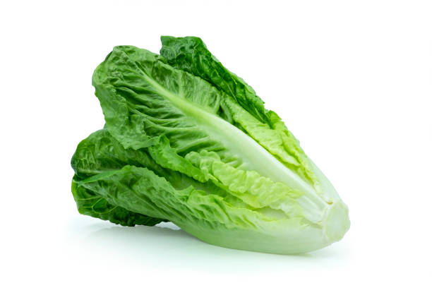istock Fresh green Lettuce leaves, Salad leaf isolated on white background. with clipping path. 1313254860