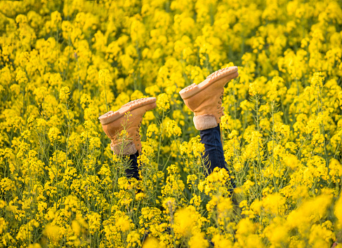 woman with legs up in boots sticking out in the middle of a yellow flowered rapeseed field, catalonia, spain