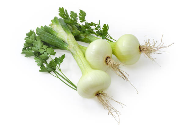 istock Young bulb onions with parsley twigs on a white background 1313255719
