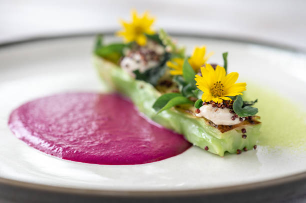 istock Plant based vegan cuisine. close up photo 1313256154