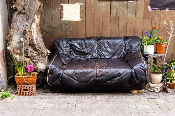 Old comfortable leather sofa on a patio against a timber wall surrounded by potted plants with colorful spring flowers and a large tree stump