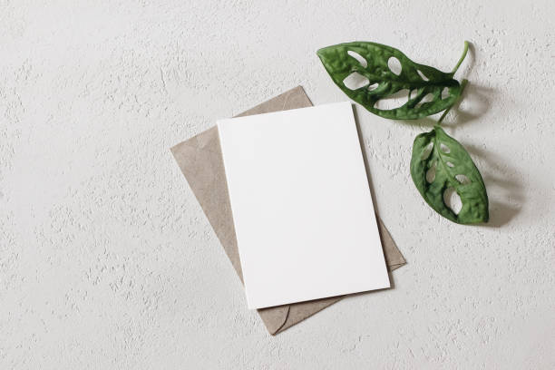 istock Summer wedding stationery mock-up scene. Blank greeting card, invitation with craft envelope and two little green monstera plant leaves. White textured background. Flat lay, top view. Minimal design. 1313258242