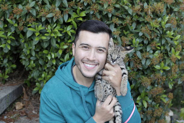 istock Man with baby serval cat 1313258797