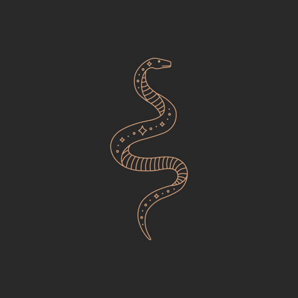 ilustraciones, imágenes clip art, dibujos animados e iconos de stock de logotipo de serpiente mágica, línea de contorno simple oro, estilo boho - snake