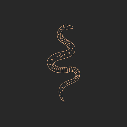 Magic snake logo, gold simple contour line, boho style on black background, modern trendy hand drawn vector magic astrology symbol and mystic design element for tattoo, doodle flat shape illustration