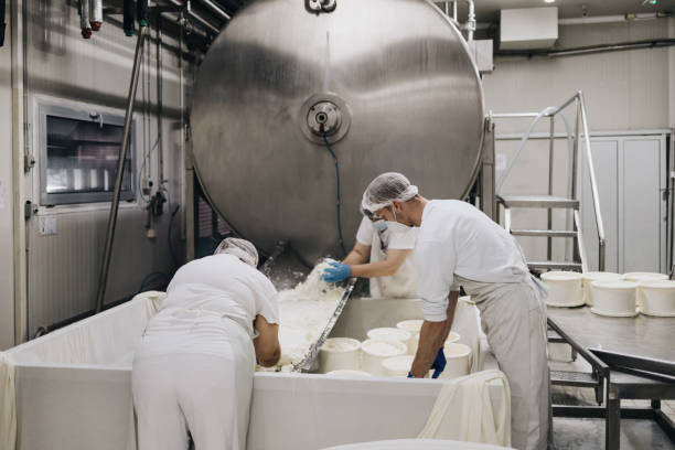 istock Cheese and dairy products factory 1313261335