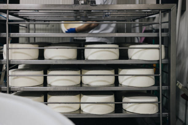 istock Cheese and airy product factory 1313261344