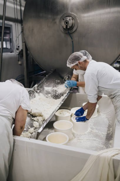 istock Cheese and dairy products factory 1313261347