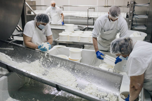 Cheese and dairy products factory