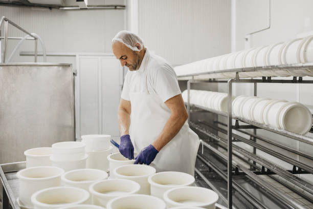 istock Cheese and airy product factory 1313261399