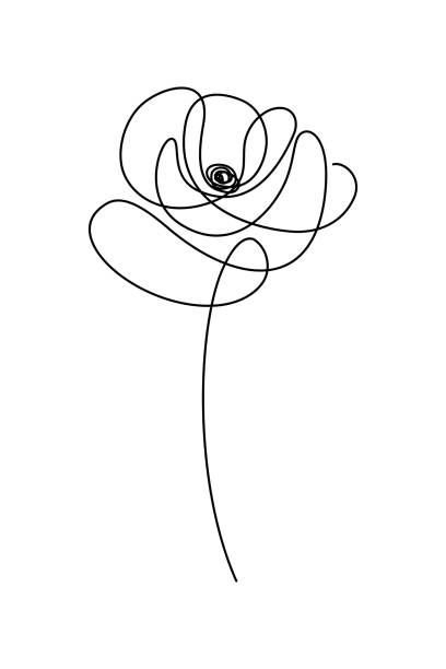 Abstract flower Abstract flower in continuous line art drawing style. Doodle flower. Minimalist black linear design isolated on white background. Vector illustration oriental poppy stock illustrations