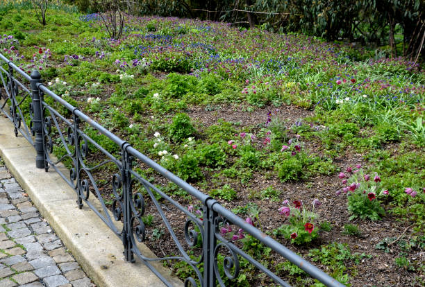高い壁に多年草を開花早春の公園の擁壁のそばのベンチ。 - retaining wall flower bed ornamental garden landscaped ストックフォトと画像