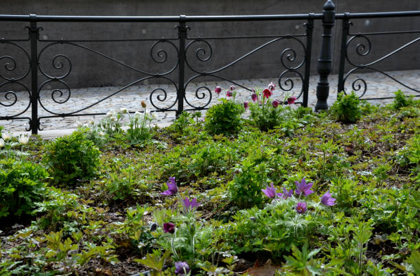 高い壁に多年草を開花早春の公園の擁壁のそばのベンチ。 - retaining wall flower bed ornamental garden landscaped ストックフォトと画像