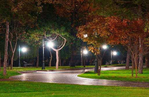 autumn city park at night, trees with yellow leaves, street lights and benches